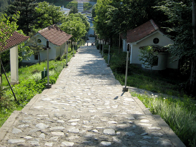 Кръстова гора